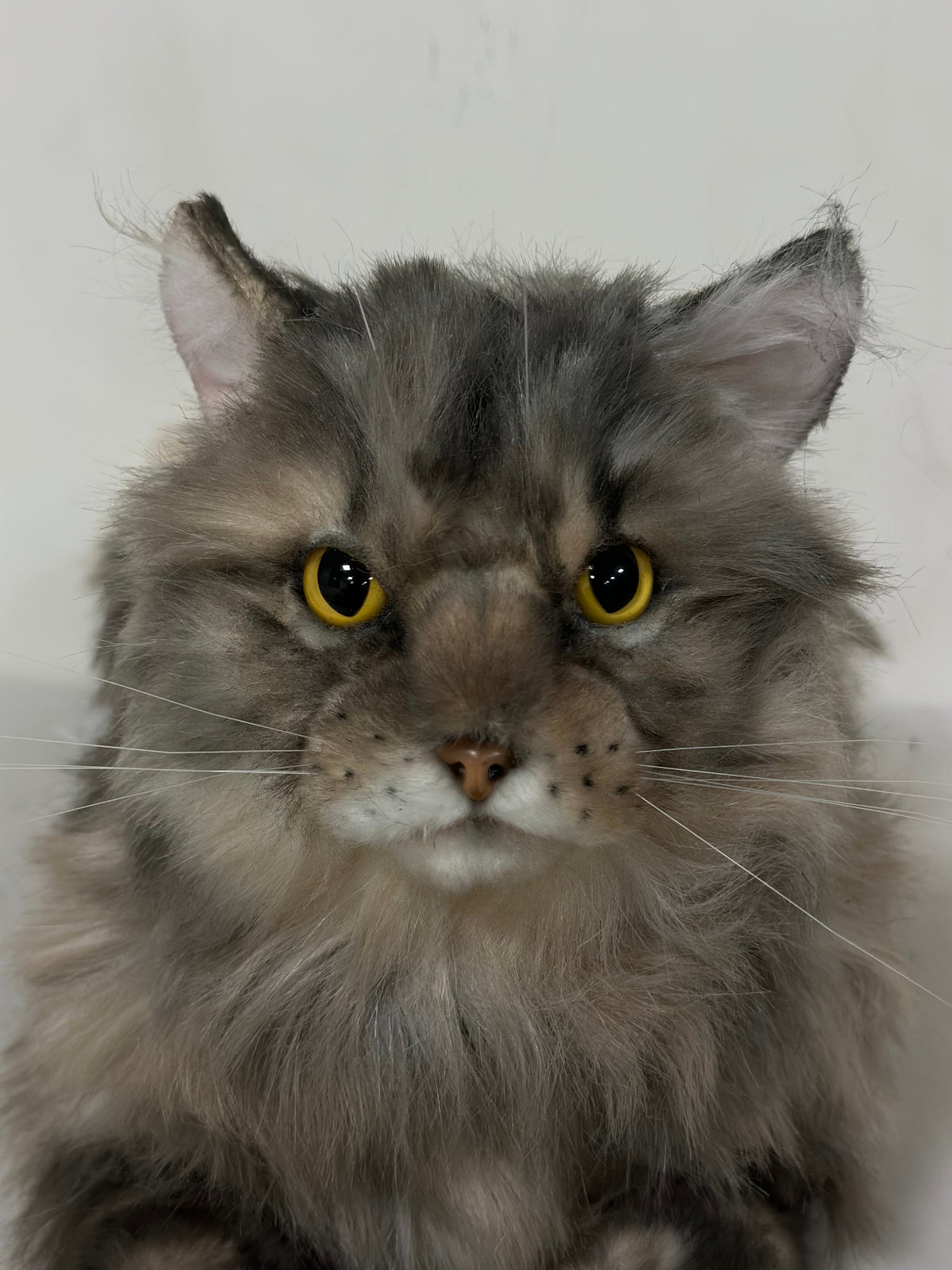 Plush American Tabby Cat Longhair-Handmade Life-Size Companion & Pet Memorial